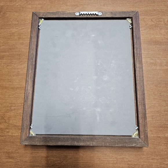 Vintage Butterfly Display - Picture 4 of 6